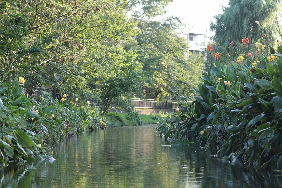 🏞️ 오치아이 강 휴식의 물가(오치아이가와 이코이노 미즈베) 이미지 5